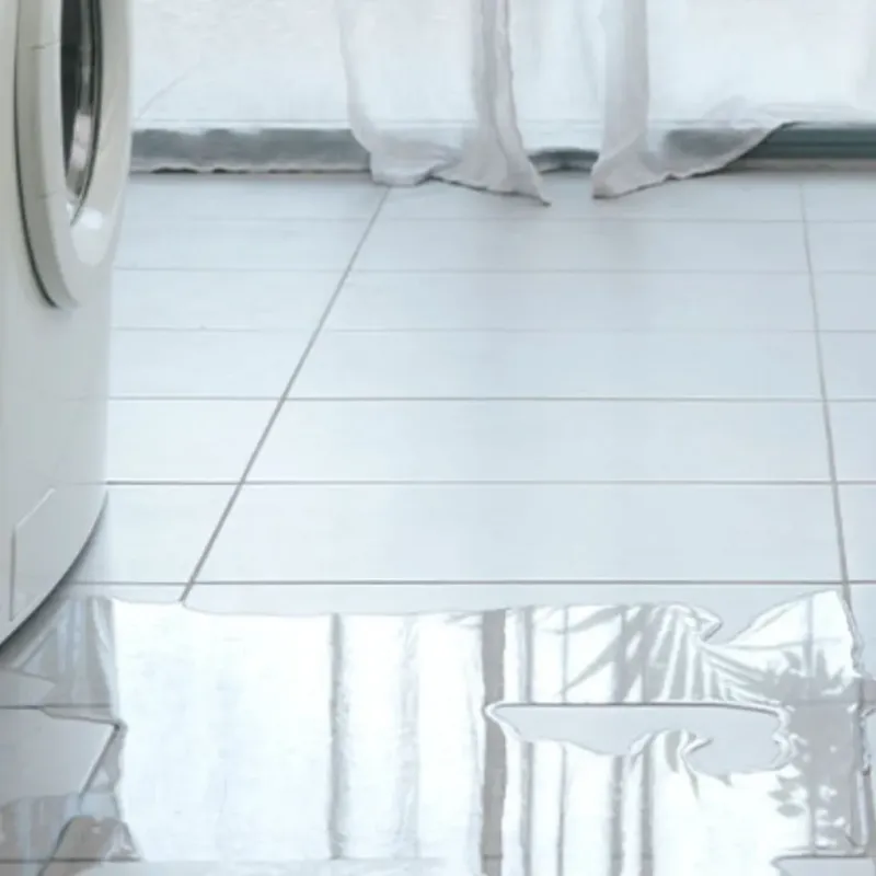 Appliance Leak Cleanup in Quinlan, TX