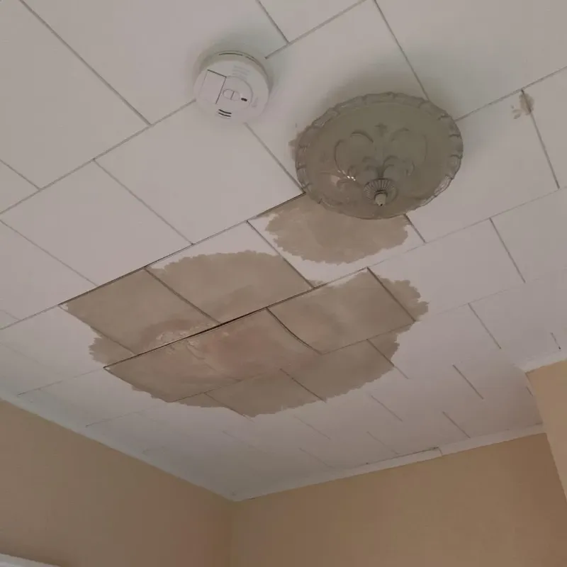 Ceiling Water Damage Repair in Quinlan, TX
