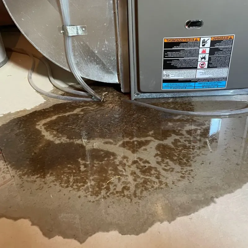 Pipe Burst and Leak Restoration in Quinlan, TX