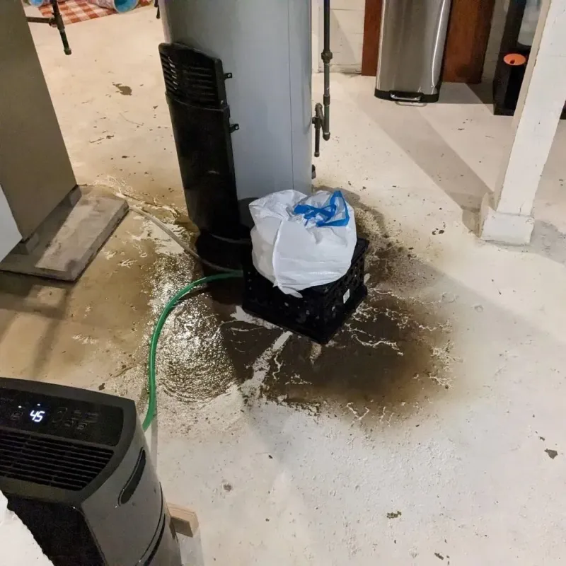 Sewage Backup Cleanup Service in Quinlan, TX